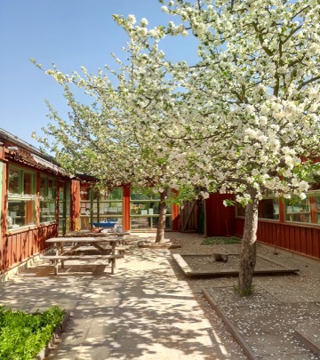 Föreskolebyggnaden utifrån med gården framför